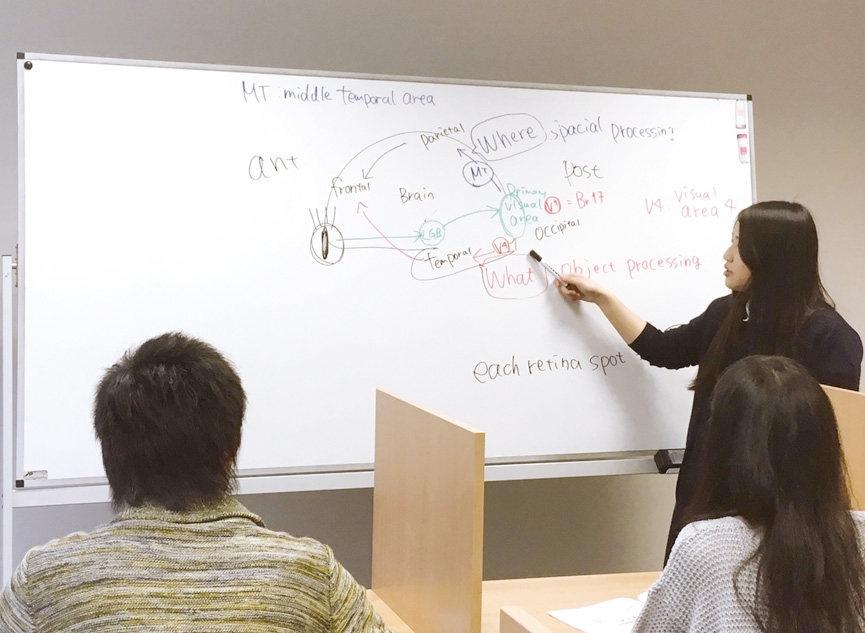 勉強会で後輩たちに教える場面も