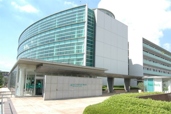 杏林大学 医学部 