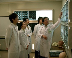 dep_image_34_3.jpg