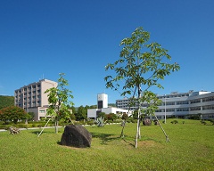 dep_image_36_3.jpg