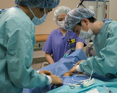 dep_image_7_3.jpg