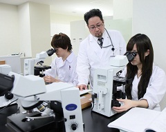 dep_image_62_3.jpg